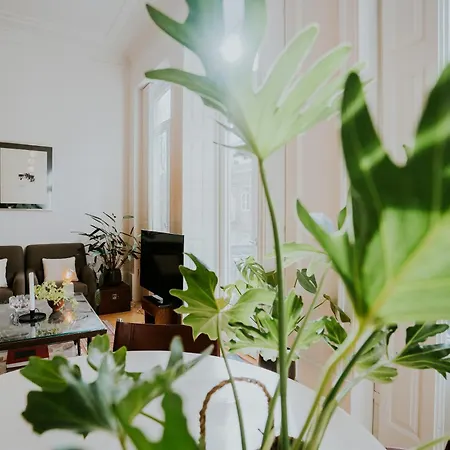 Viva Contemporary Duque Terceira Διαμέρισμα