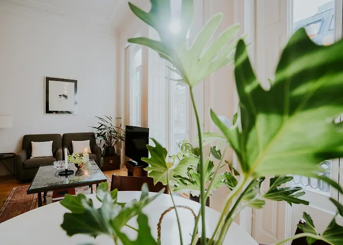 Viva Contemporary Duque Terceira Lejlighed